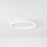Modern LED Ceiling Light  Minimalist Ring Design - Product detail 10