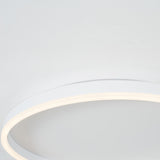 Modern LED Ceiling Light  Minimalist Ring Design - Product detail 13