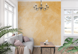 Terracotta Mural Wallpaper | Warm Textured Design