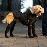 Protective Dog Boots  All-Weather Paw Guards - Product detail 4