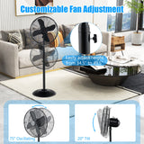 Industrial Pedestal Fan  16-Inch Metal Oscillating Design - Product detail 6