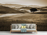 Landscape Mural Wallpaper | Sepia Tuscan Hills With Lone Tree