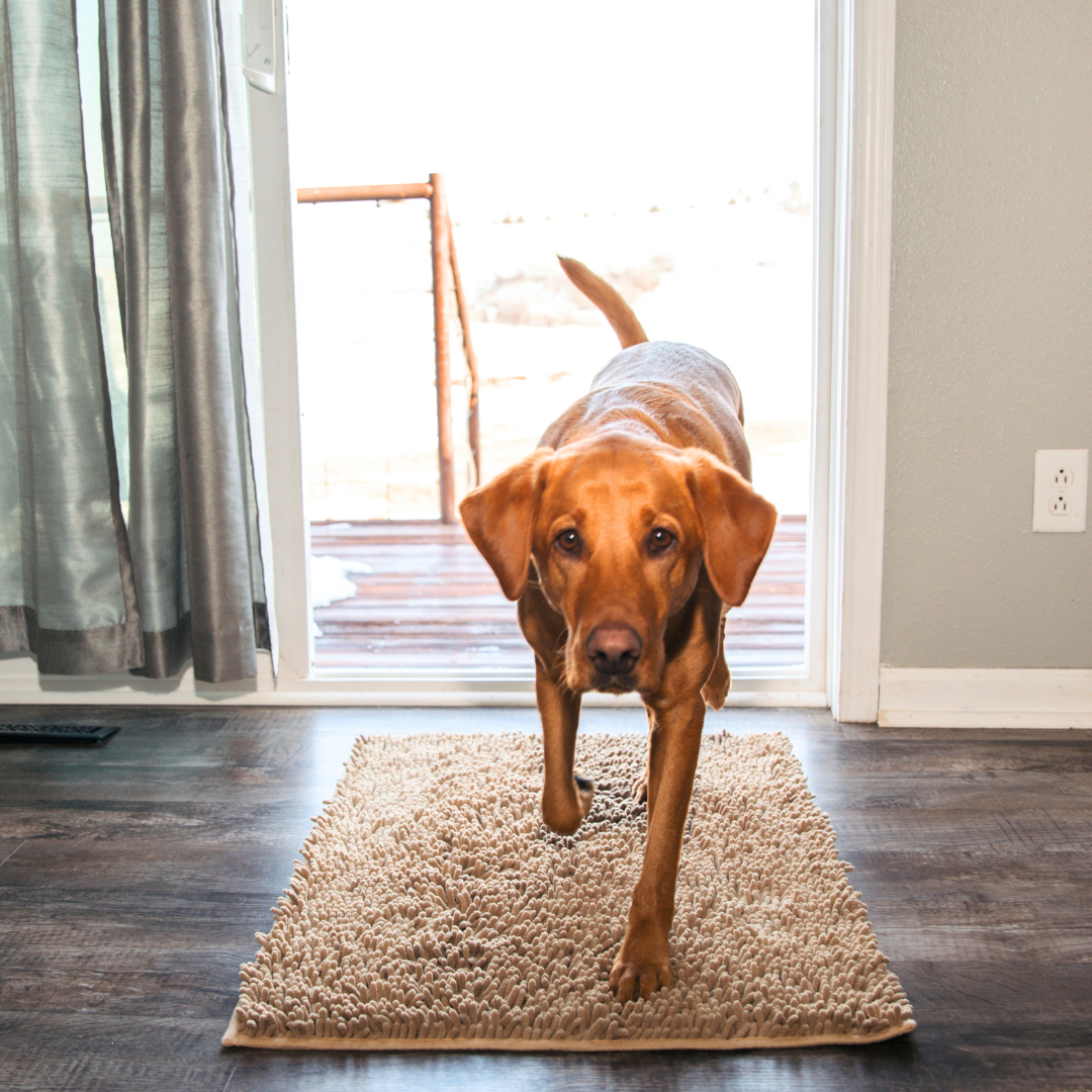 Absorbent Pet Door Mat  High-Performance Microfiber Cleaning Pad - Product example