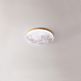 Modern LED Ceiling Light  Natural Wood Frame Design - Product detail 4