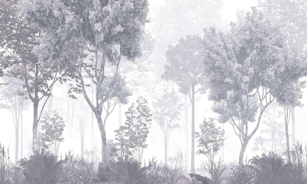Wald Tapete | Nebelgraue Baumlandschaft