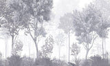Wald Tapete | Nebelgraue Baumlandschaft