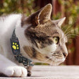 GPS Cat Tracker Collar  Real-Time Satellite Location Monitor - Product showcase
