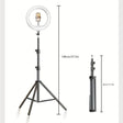 LED Ring Light  Professional Studio Lighting With Adjustable Stand - Detailed view