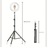 LED Ring Light  Professional Studio Lighting With Adjustable Stand - Detailed view