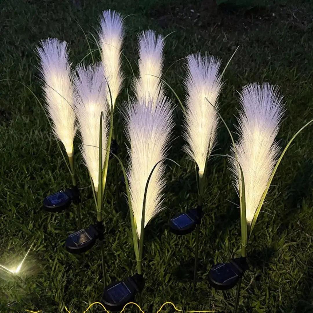 Solar Garden Reed Lamp  Illuminated Feather Design - Detailed view