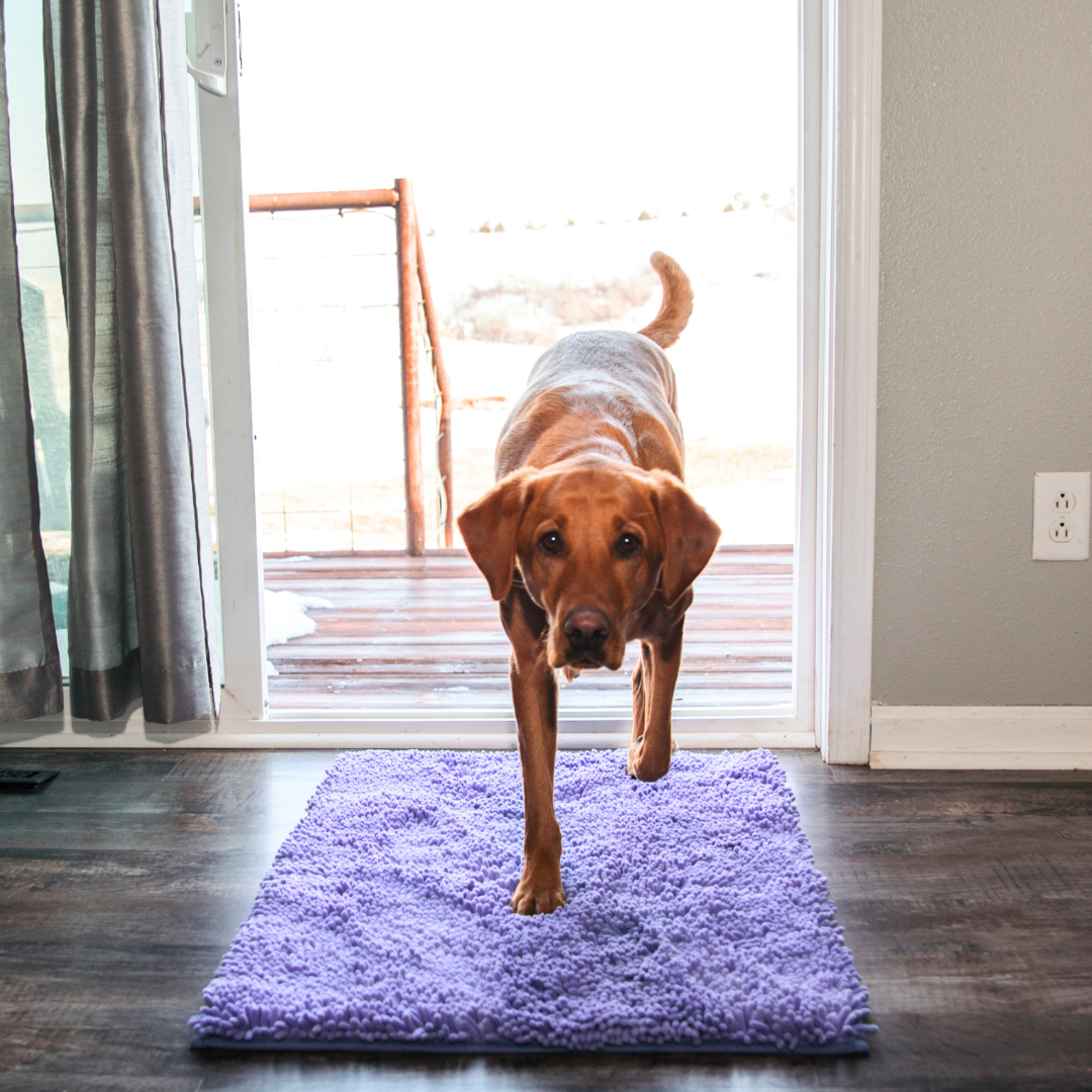 Absorbent Pet Door Mat  High-Performance Microfiber Cleaning Pad - Product detail 6