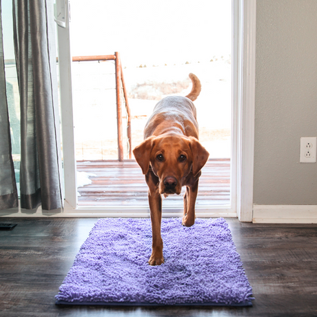 Absorbent Pet Door Mat  High-Performance Microfiber Cleaning Pad - Product detail 6