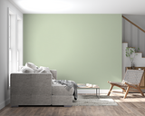 Sage Green Mural Wallpaper | Modern Minimalist Design