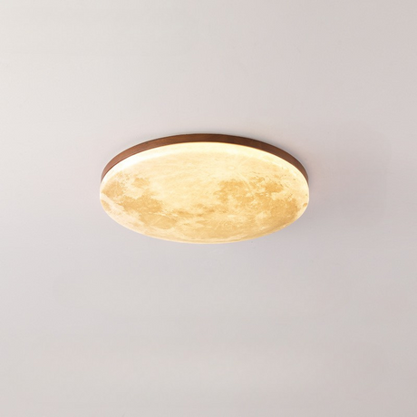 Modern LED Ceiling Light  Natural Wood Frame Design - Product detail 6