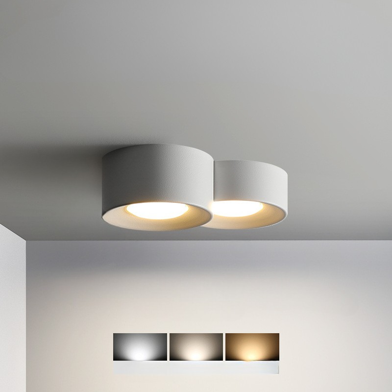 Modern Surface Mounted Ceiling Light  Multi-Head Downlight Spotlight - Product example