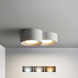 Modern Surface Mounted Ceiling Light  Multi-Head Downlight Spotlight - Product example