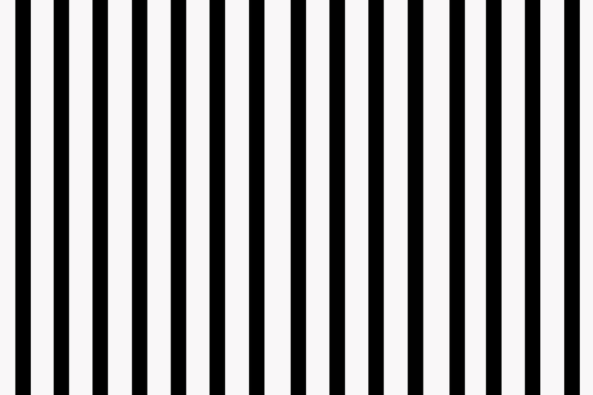 Striped Mural Wallpaper | Modern Black and White Design