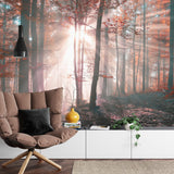 Forest Mural Wallpaper | Misty Autumn Sunrise Scene