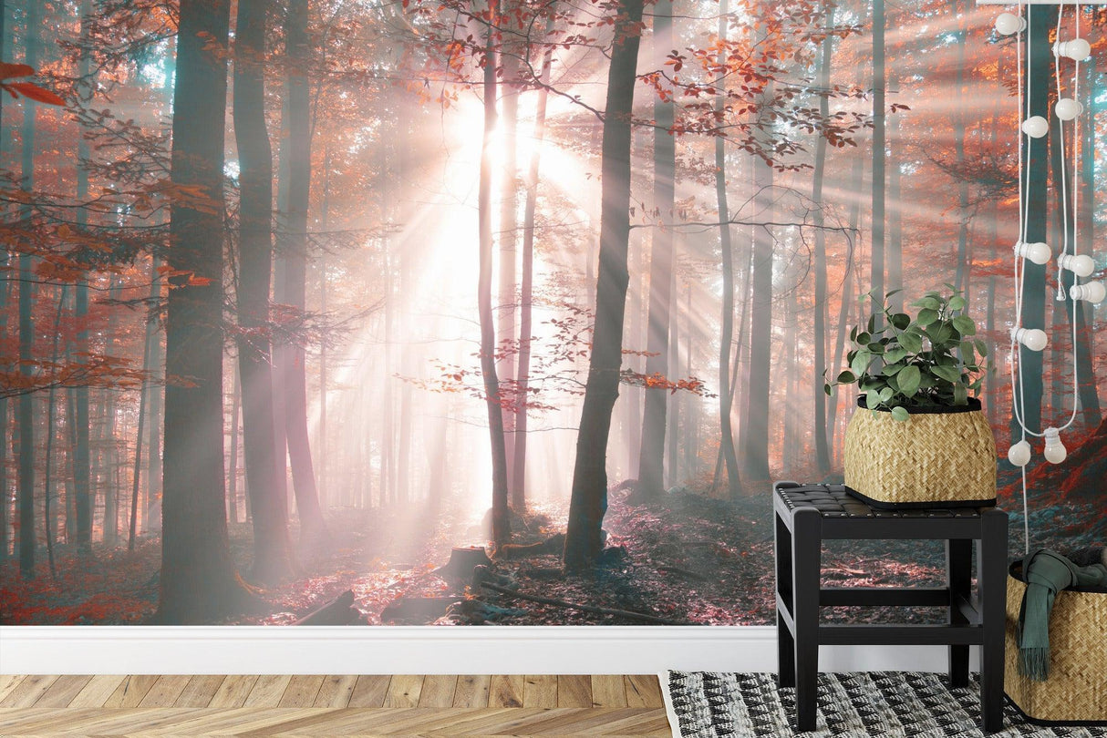 Forest Mural Wallpaper | Misty Autumn Sunrise Scene