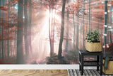 Forest Mural Wallpaper | Misty Autumn Sunrise Scene