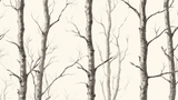 Forest Mural Wallpaper | Black and White Birch Trees