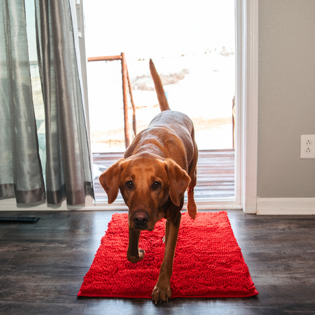 Absorbent Pet Door Mat  High-Performance Microfiber Cleaning Pad - Product detail 5