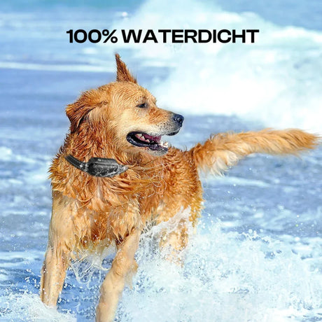 Smart Dog Training Collar  Digital Display Remote Control - Product detail 5