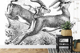Wildlife Mural Wallpaper | Vintage Black and White Gazelle Sketch