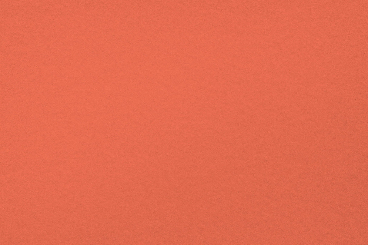 Terracotta Mural Wallpaper | Modern Solid Color Design