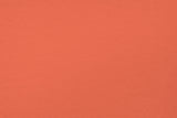 Terracotta Mural Wallpaper | Modern Solid Color Design