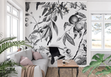 Botanical Mural Wallpaper | Black and White Vintage Fruit Design