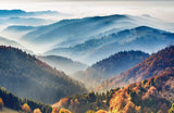 Mountain Mural Wallpaper | Misty Forest Autumn Landscape