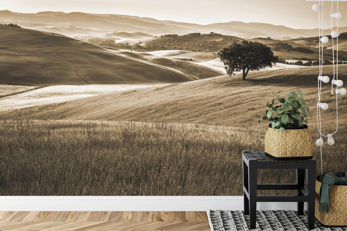 Landscape Mural Wallpaper | Sepia Tuscan Hills With Lone Tree