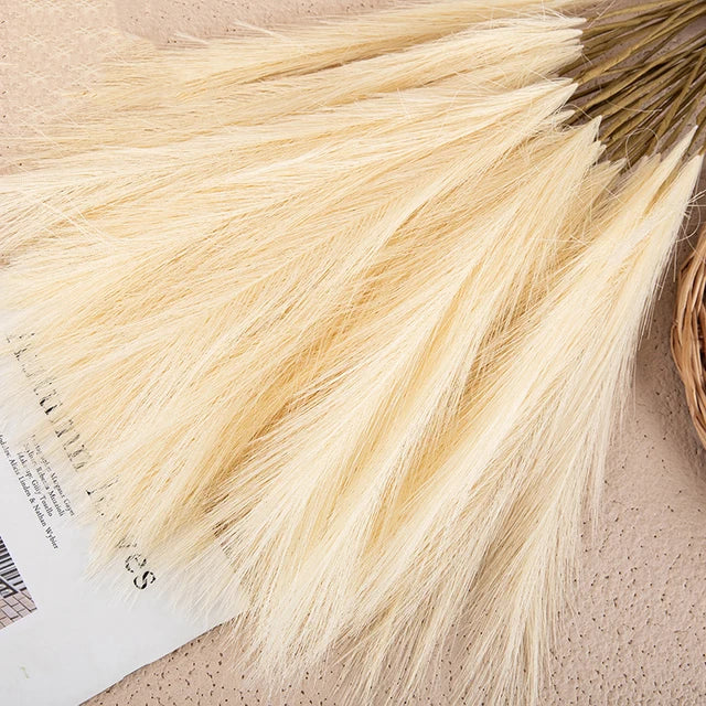 Natural Pampas Grass Decor  Soft Beige Dried Stems - Product detail 6