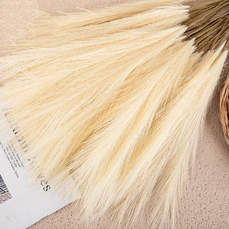 Natural Pampas Grass Decor  Soft Beige Dried Stems - Product detail 6