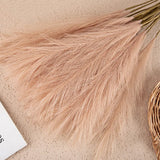 Natural Pampas Grass Decor  Soft Beige Dried Stems - Product detail 14