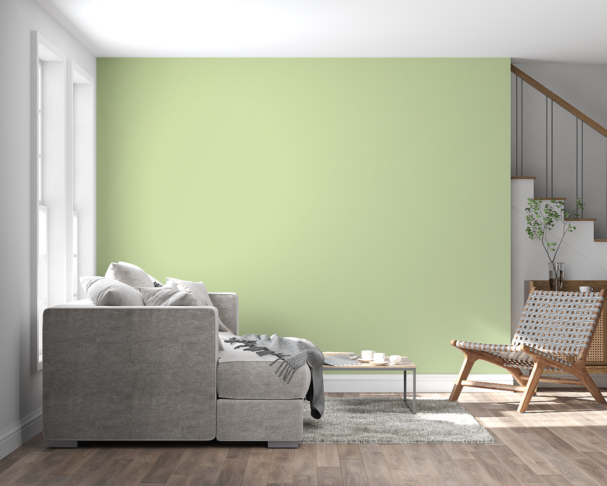 Modern Mural Wallpaper | Light Green Minimalist Design