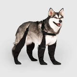 Protective Dog Boots  All-Weather Paw Guards - Product showcase