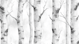 Forest Mural Wallpaper | Birch Tree Black and White Design