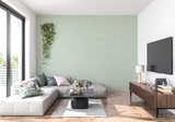 Mint Mural Wallpaper | Soft Green Textured Design