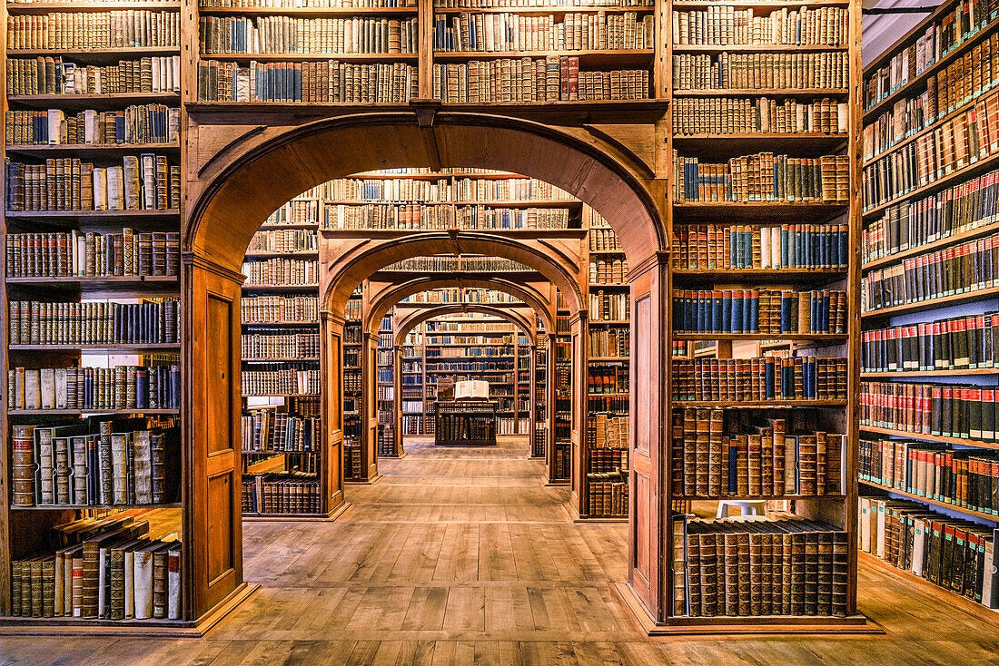 Library Mural Wallpaper | Vintage Wooden Arches Design