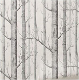 Forest Mural Wallpaper | Black and White Birch Trees Design