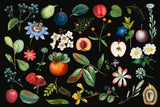 Botanical Mural Wallpaper | Vintage Fruits and Flowers on Black