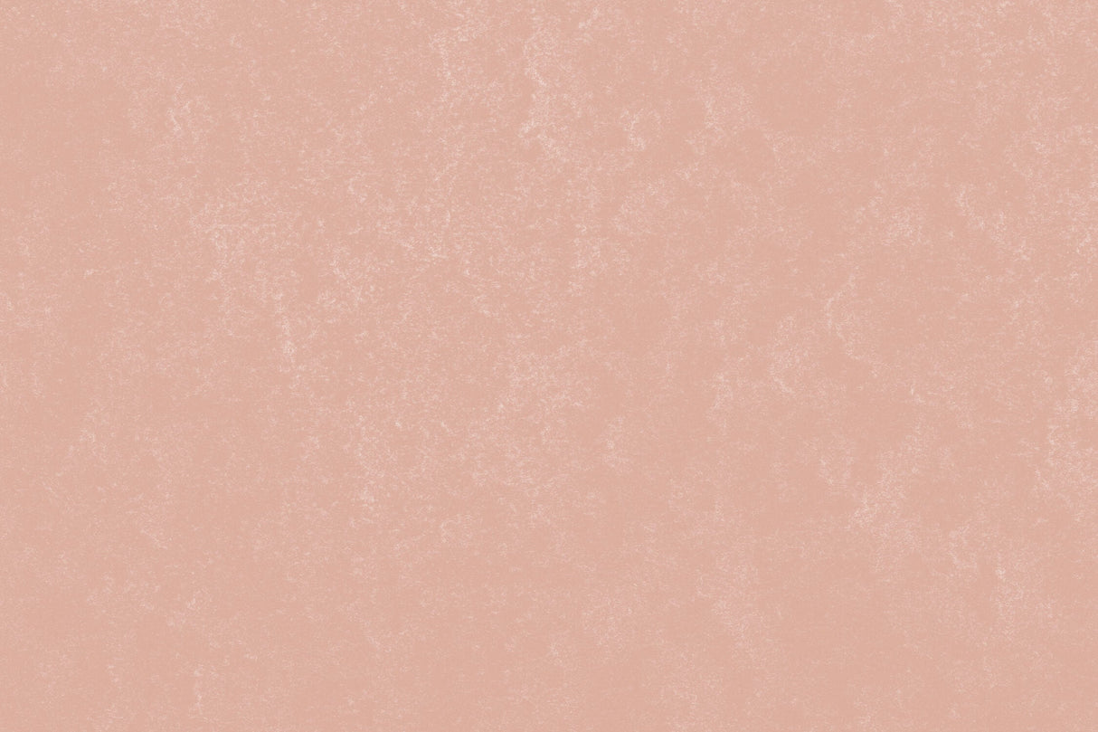 Terracotta Mural Wallpaper | Soft Pink Textured Design