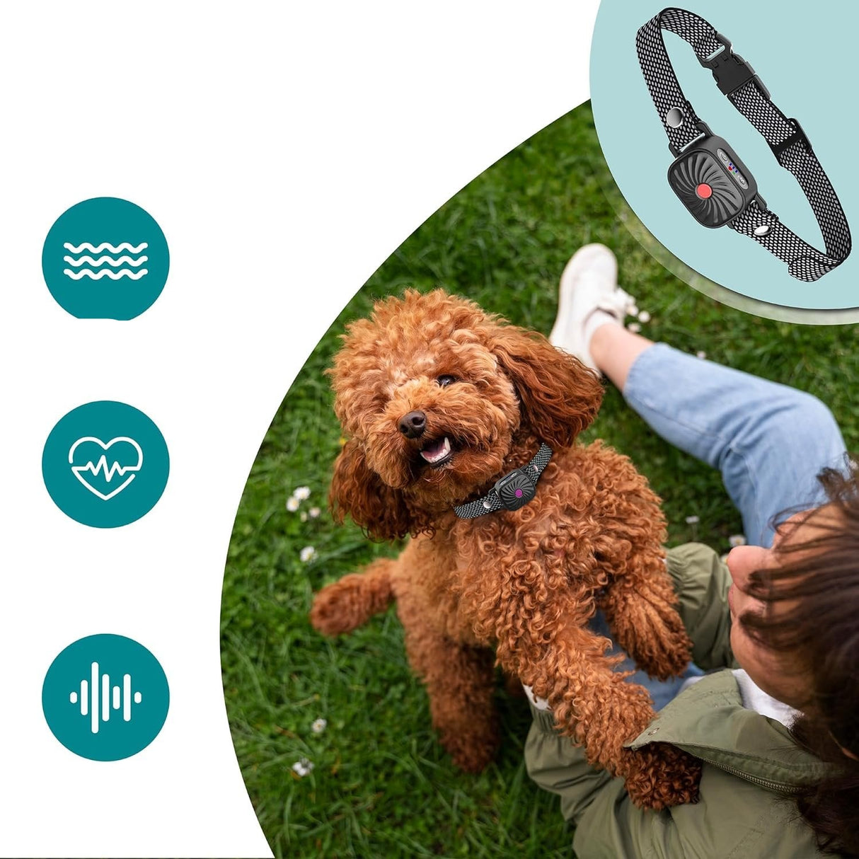 Anti Bark Dog Collar  Humane Training Device with Adjustable Fit - Product example