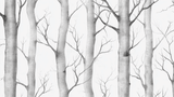 Forest Mural Wallpaper | Winter Birch Trees in Grey and White