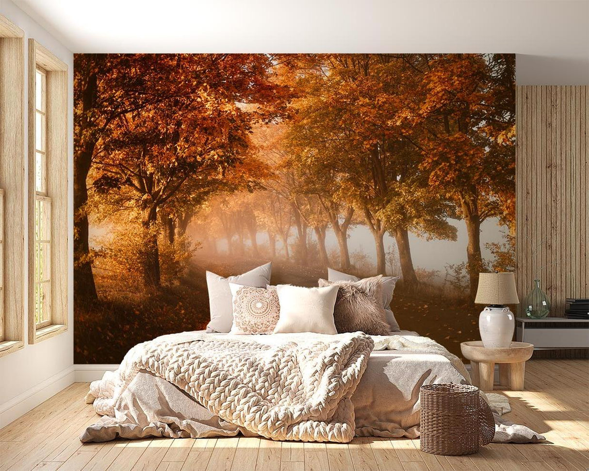 Forest Mural Wallpaper | Misty Autumn Path