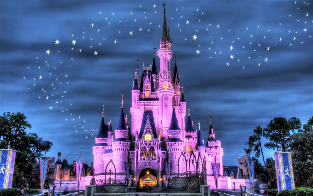Princess Castle Mural Wallpaper | Magical Night Sky Design