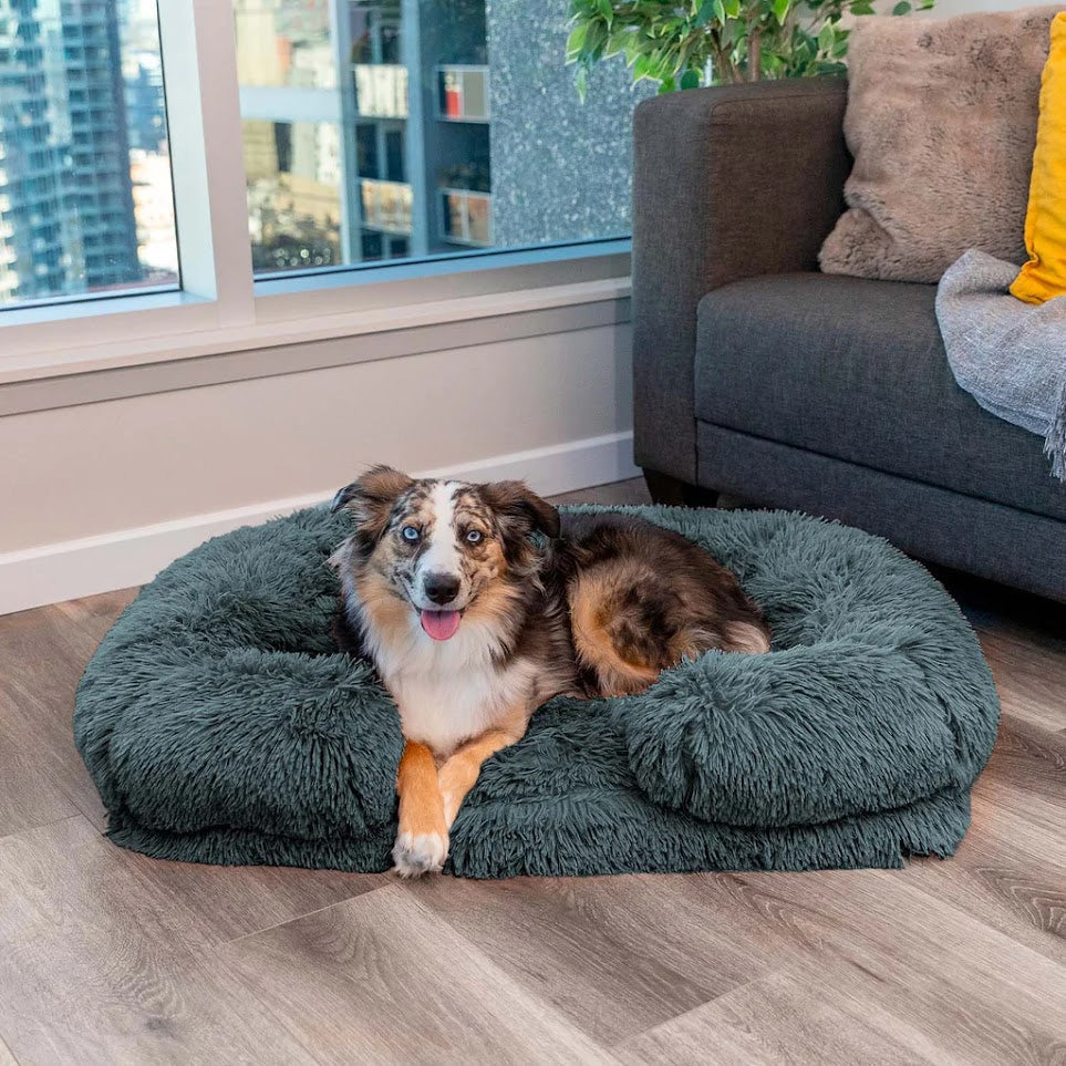 Orthopedic Dog Bed  Memory Foam With Plush Cover - Product showcase