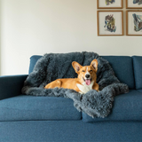 Plush Pet Throw Blanket  Premium Faux Fur Comfort - Detailed view